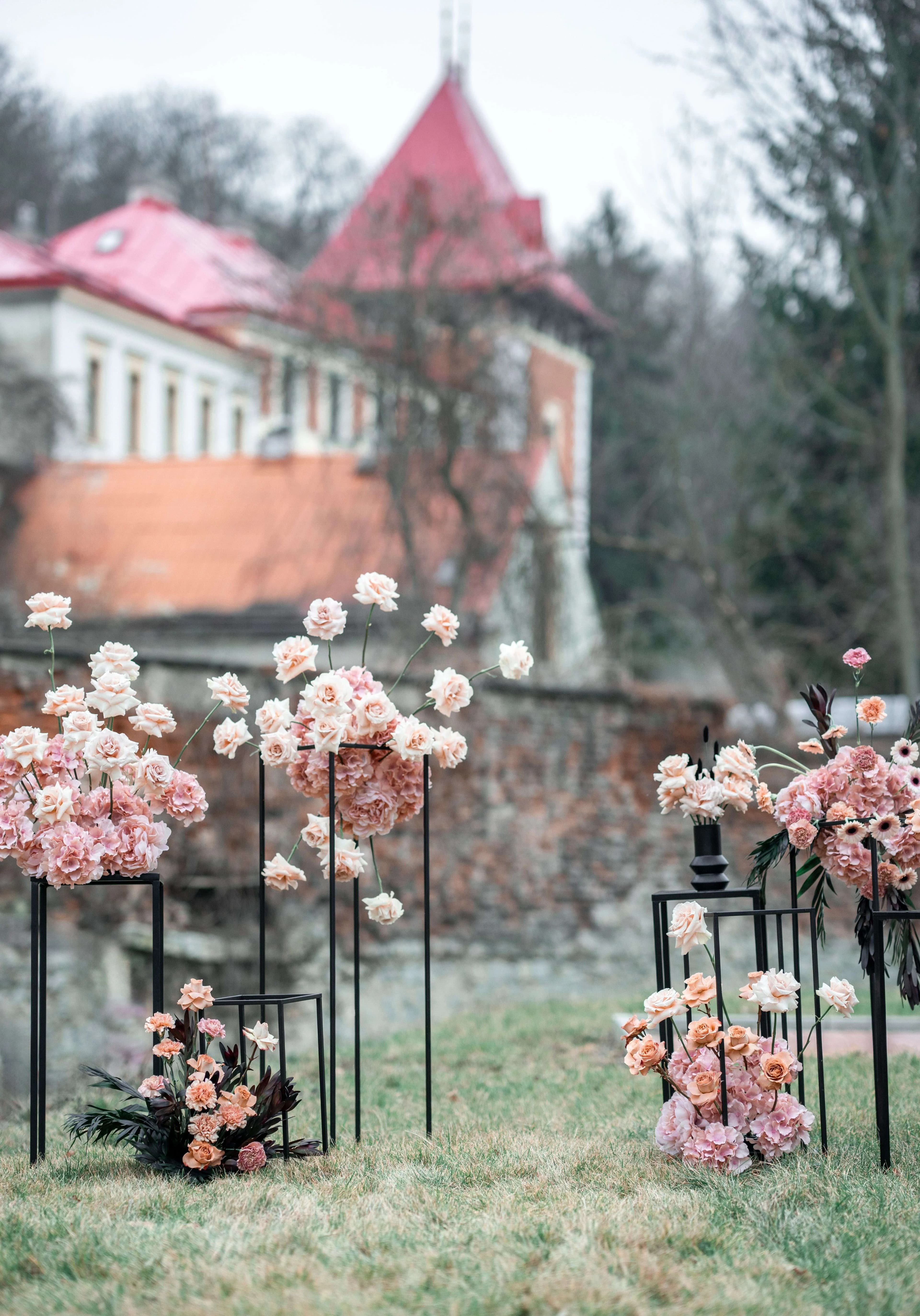 HighLight — fotografie 3